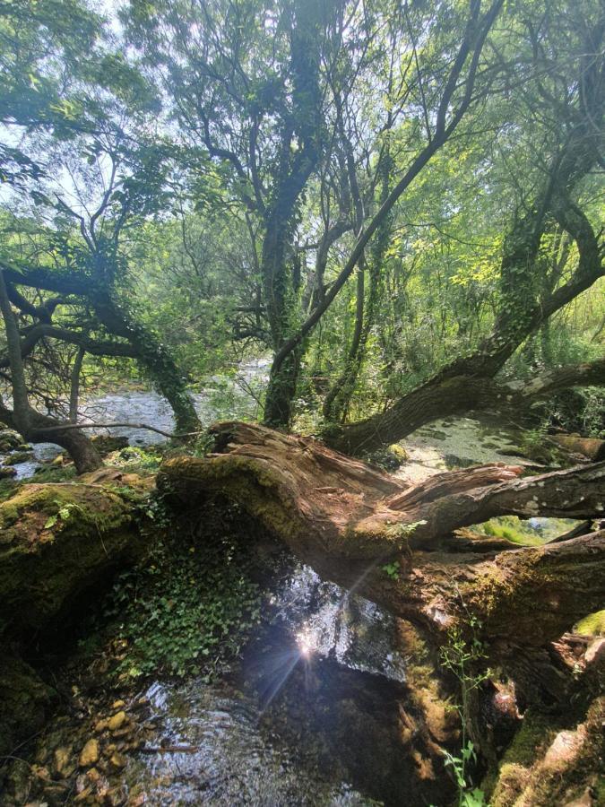 Timber Valley Plitvička Jezera Dış mekan fotoğraf